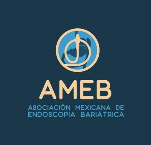 asociacion de endoscopia bariatrica